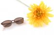 sun glasses