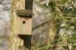 old bird house
