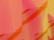 backdrop for your designs