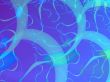 backdrop for your designs