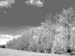 infra red effect