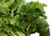 Nutritious Turnip Greens