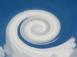 White Loop