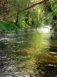 Course Of A River