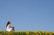 Girl sitting in dandelion field