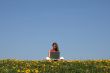 Nature and technology