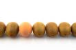 One egg in a row of kiwis