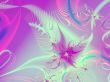 a backdrop for your designs