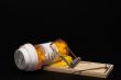 Prescription Medication in a Mouse Trap