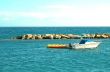 The boat