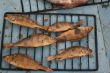 Just Smoked Fish