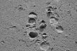 Footprint