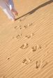 girl waking on the beach - footprints