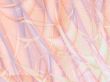 a backdrop for your designs