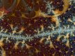 a backdrop for your designs
