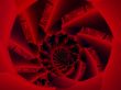 abstract shapes