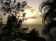Tropical Sunset