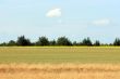 Field