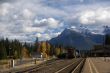Freight train pulling out of station