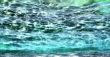 Clear Water