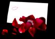 Love Letter