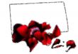 Love Letter