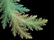 Fractal Abstract Background - Leaf Texture