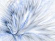 Fractal Abstract Background - Feathery Textures