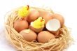 Easter chicks