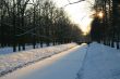 Winter Park