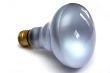 Light bulb at white background