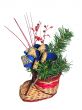 gift 2