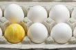 Yellow Easter Egg