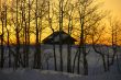 Winter sunset: house and bare aspens