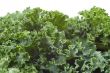 Nutritious Kale