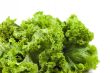 Curly Mustard greens