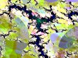 an abstract design