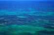blue sea