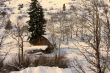 Old western barn in snow with aspens