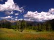 Mountain Medow 2