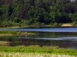 rest on lake