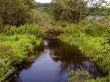 small river flows from lake