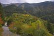 Bright paints of autumn.