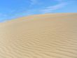 Taiga desert landscape 05