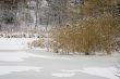 Winter lake shore view