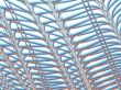 an abstract background