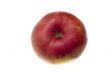 apple macro