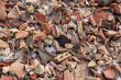 Debris