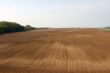 Field