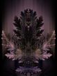 Feathers Abstract Background
